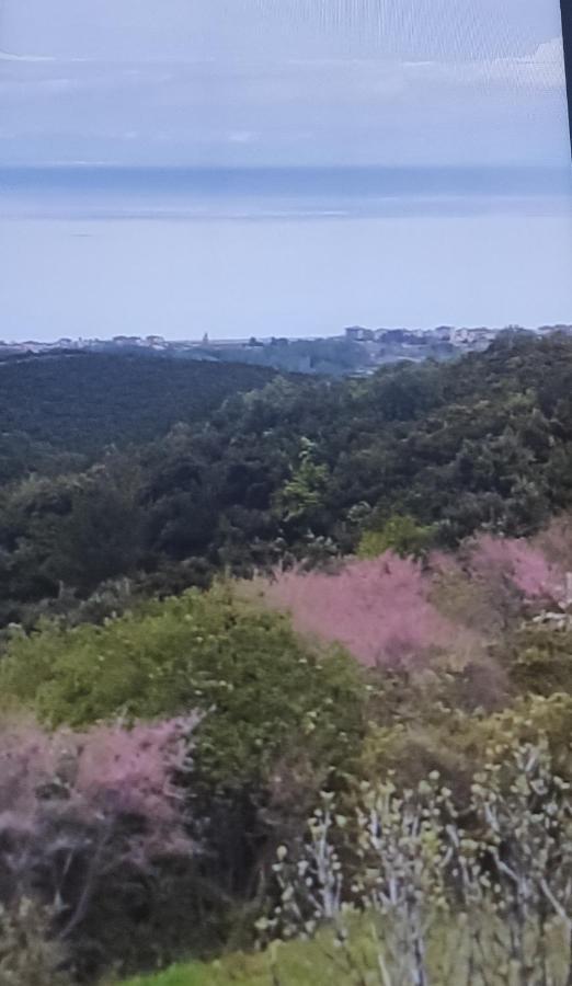 Villa Πανοραμα Aigani Exterior foto